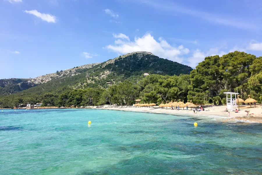 Blick von einer Anhöhe auf die Bucht von Formentor: türkisfarbenes Wasser, der helle Strand mit Sonnenschirmen aus Schilf, dahinter dichter Kiefernwald und ein kahler Berghang.