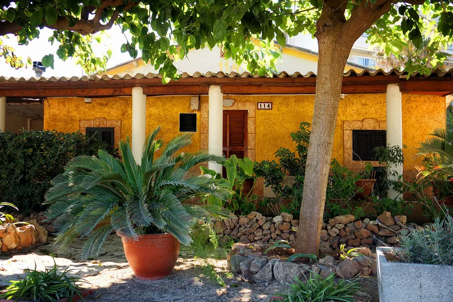 Niedriges ockergelbes Ferienhäuschen mit Ziegeldach, weißen Säulen, braunen Fensterläden und der Hausnummer 114, davor Palmfarn im Terrakottatopf, eine Trockenmauer und ein alter Maulbeerbaum.
