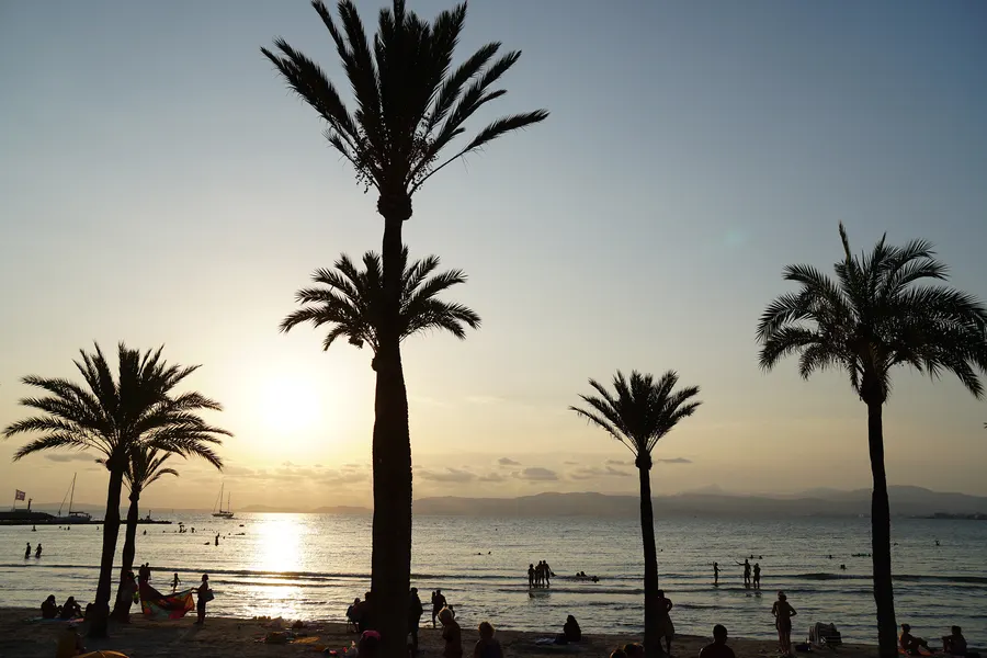 Sonnenuntergang über der Bucht von Palma, im Gegenlicht die Silhouetten mehrerer Palmen und Menschen am Wasser.
