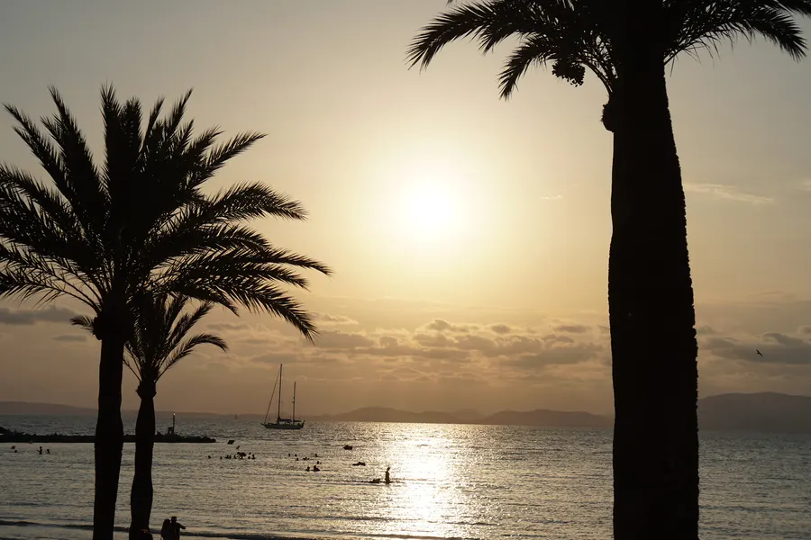 Zwei Palmenstämme im Gegenlicht am Ufer der Platja de Palma, dahinter das spiegelnde Meer, ein Segelboot und die Berge.
