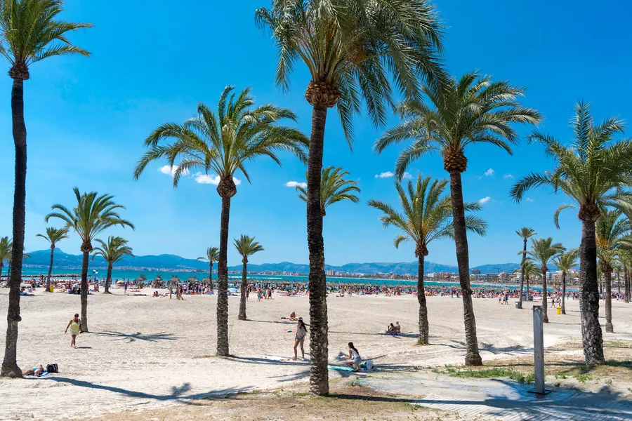 Badegäste am Strand von S'Arenal, dahinter die Promenade mit Palmen und die Hotel- und Apartmentzeile.
