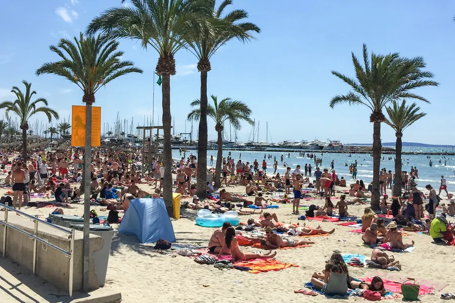 Dicht belegter Strandabschnitt von S'Arenal im Hochsommer mit Handtüchern, Schirmen und Badegästen zwischen Palmen.
