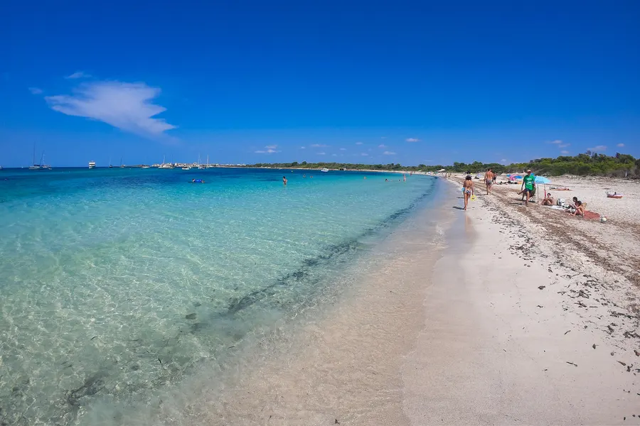 Weißer Sandstrand der Platja des Carbó mit einem dunklen Seegrasstreifen im flachen Wasser, dahinter Badende und Kiefern.
