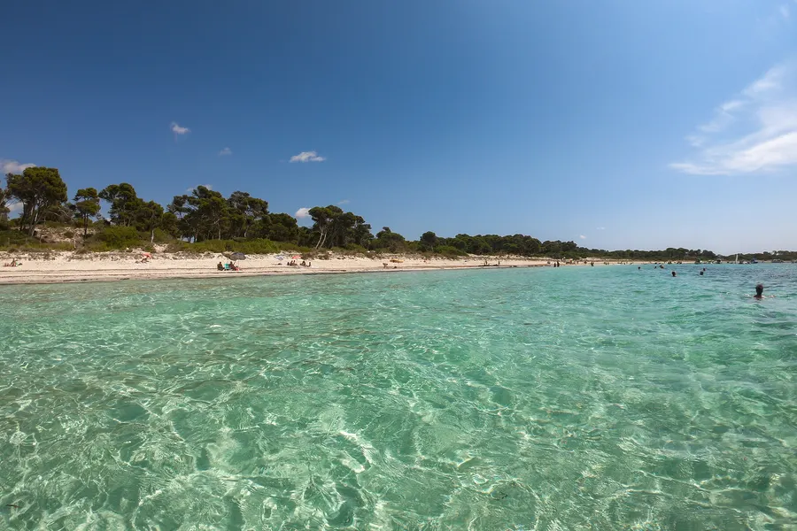Sehr flaches, klares Wasser mit Lichtmustern auf dem Sandboden vor der Platja des Carbó, am Horizont Küste und Kiefern.