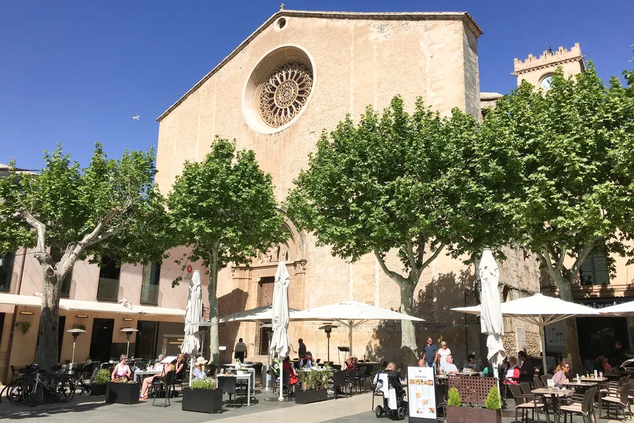 Nahsicht der Westfassade von Santa Maria dels Àngels mit fein durchbrochener steinerner Fensterrose, davor die belaubten Platanen des Platzes und die Terrassen der Cafés im Schatten.
