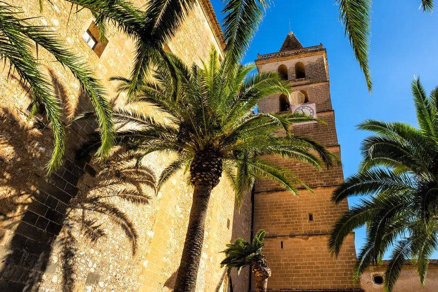 Der hohe Glockenturm der Kirche von Porreres mit Uhr und Bogenöffnungen, von unten durch die Wedel zweier Palmen fotografiert.