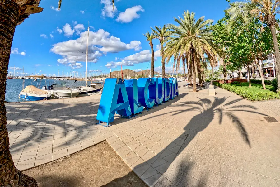 Blauer ALCUDIA-Schriftzug als überlebensgroße Buchstabenskulptur auf der gepflasterten Hafenpromenade von Port d'Alcúdia, links Motorboote und Segelmasten im Jachthafen, rechts eine Reihe hoher Dattelpalmen.
