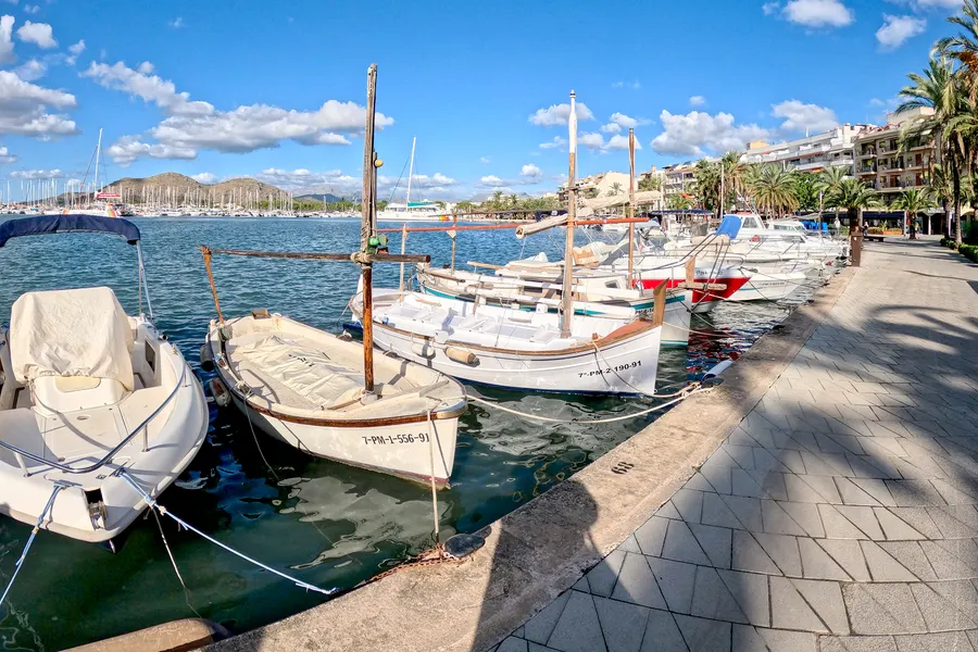 Weiße hölzerne Llaüts und moderne Motorboote längsseits an der Kaimauer des Hafens von Port d'Alcúdia, dahinter die Promenade mit Palmen und Wohnbauten, im Hintergrund Masten des Jachthafens und ein bewaldeter Hügel.

