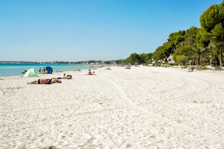 Breiter heller Sandstrand von Port d'Alcúdia am Morgen im Juni, nur vereinzelt Badegäste und ein Sonnenzelt, rechts der Kiefernsaum, im Hintergrund die Bucht.
