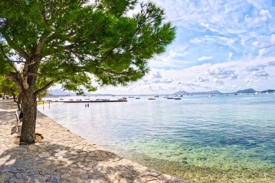 Alte Aleppokiefer mit weit ausladender Krone über einem Natursteinweg direkt am Wasser, rechts glasklares türkisfarbenes Flachwasser mit ankernden Booten und der Bergsilhouette am Horizont.
