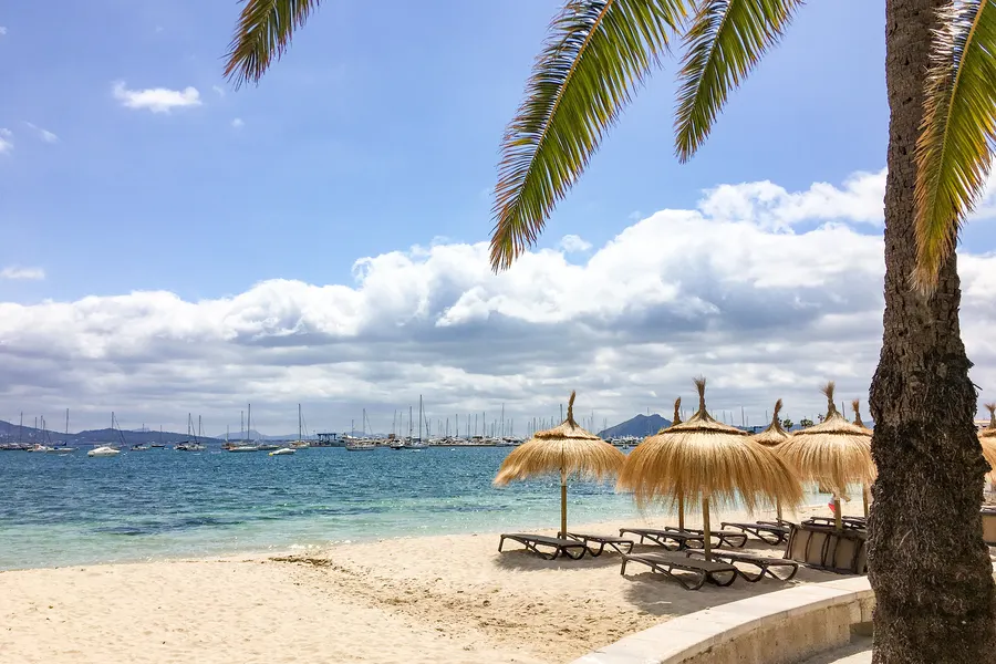 Leere Liegen unter Schilfschirmen am Strand von Port de Pollença, im Vordergrund Palmwedel, im Hintergrund ankernde Segelboote in der Bucht.