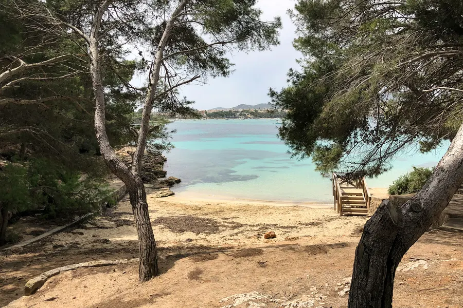 Kleiner heller Sandstrand in der Bucht von Portocolom, gerahmt von Kiefern, davor türkisfarbenes flaches Wasser und eine Holztreppe.