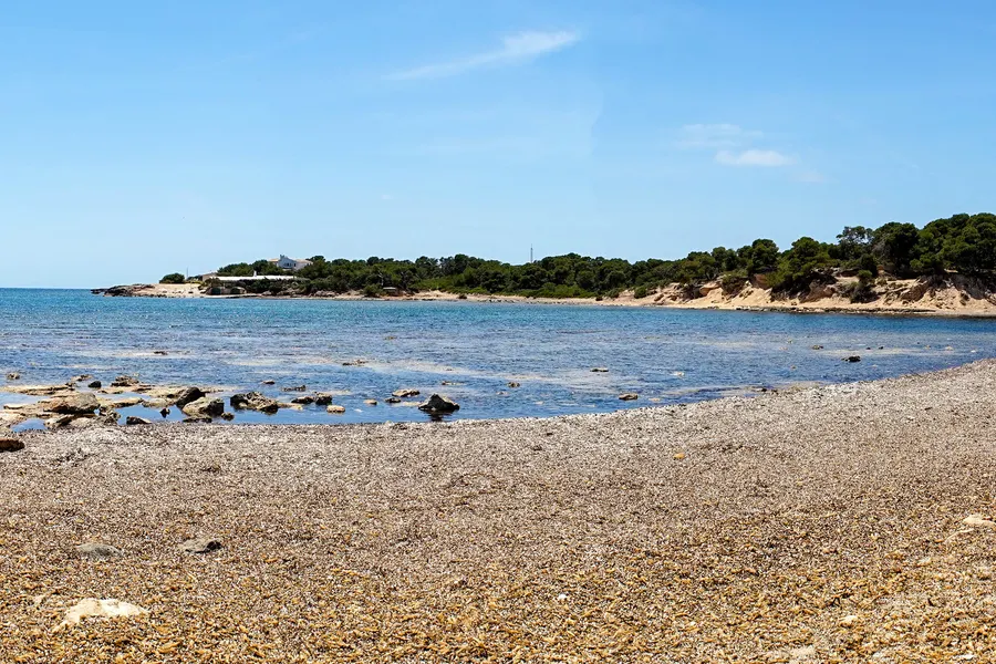 Flache Kiesbucht bei S'Estanyol de Migjorn mit angespültem Seegras, ruhigem Wasser und einer bewaldeten Landzunge dahinter.