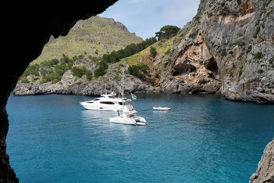 Einzelne Kiefer auf einem hellen Felsvorsprung über dem tiefblauen Meer bei Sa Calobra.
