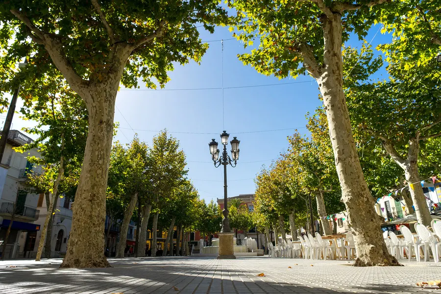 Breite Allee in sa Pobla mit hohen Platanen zu beiden Seiten, einer gusseisernen Straßenlaterne in der Mitte und gestapelten Stühlen am Rand.