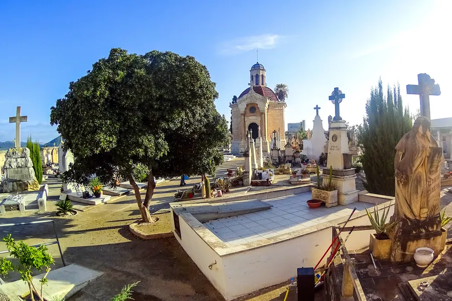 Der Friedhof von sa Pobla mit weiß gefassten Gräbern, steinernen Kreuzen, einer Kapelle mit Kuppel und einem großen alten Baum in der Mitte.
