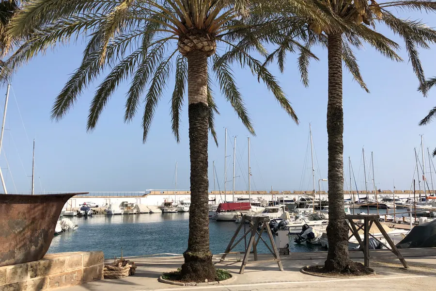 Hohe Palmen am Hafen von Sa Ràpita, dahinter Boote an den Stegen und ein alter Anker auf einem Sockel.
