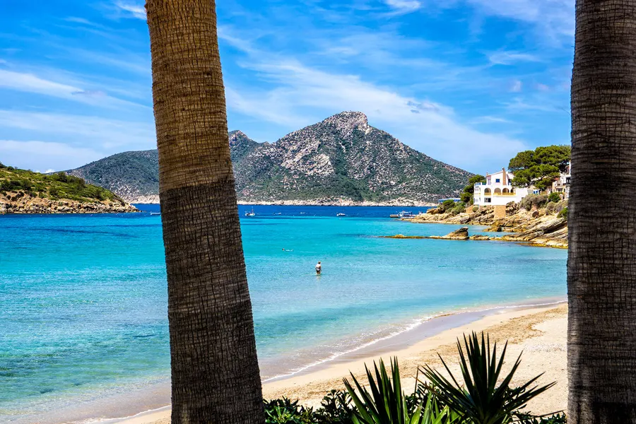 Blick zwischen zwei Palmstämmen hindurch auf den Strand von Sant Elm und die Insel Dragonera dahinter.
