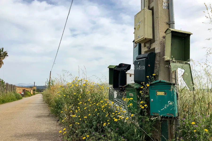 Mehrere verwitterte Briefkästen an einem Betonmast neben einem unbefestigten Feldweg, davor gelbe Wildblumen.
