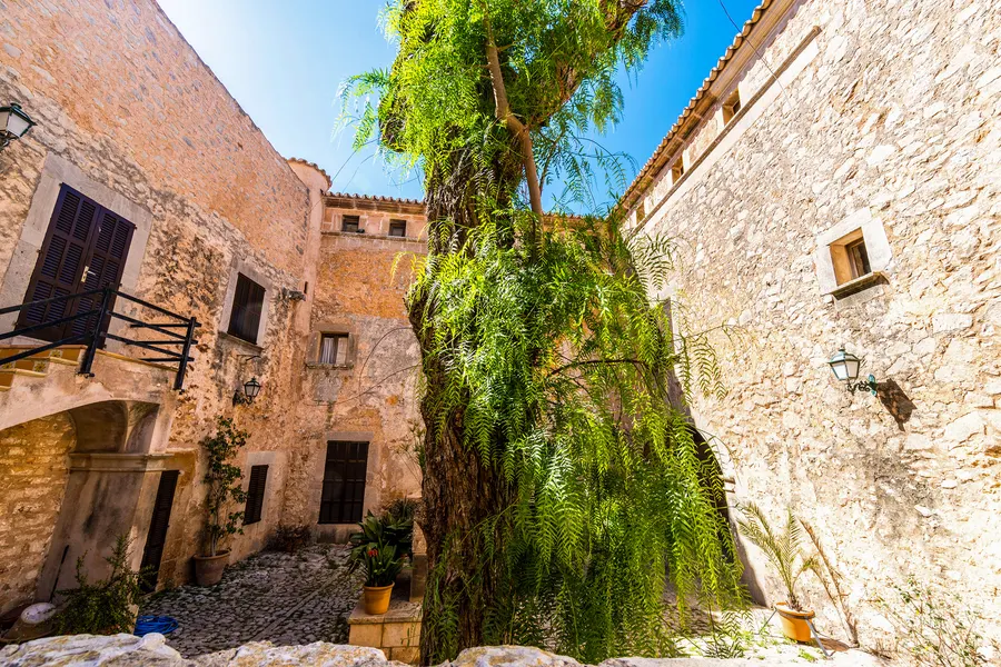 Enge Gasse zwischen alten Sandsteinhäusern in Santanyí, überhangen von einem großen Pfefferbaum, im Vordergrund Kakteen.

