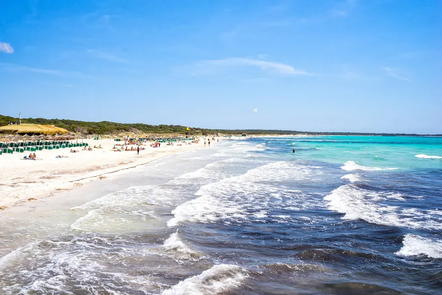 Blick von Ses Covetes nach Osten über den langen hellen Sandstrand von Es Trenc mit Brandung und Reihen von Schirmen.

