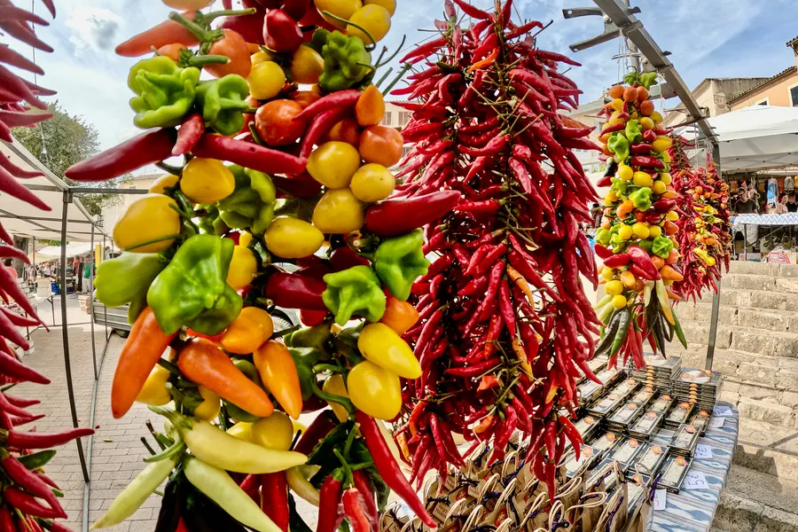 Lange Schnüre mit roten, grünen und gelben getrockneten Paprika, die an einem Marktstand in Sineu aufgehängt sind.
