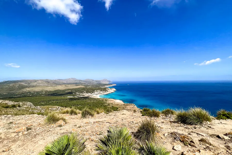 Weiter Blick vom Gipfel über die zerklüftete Nordostküste mit Buchten und dunkelblauem Meer, im Vordergrund Macchia und Zwergpalmen.

